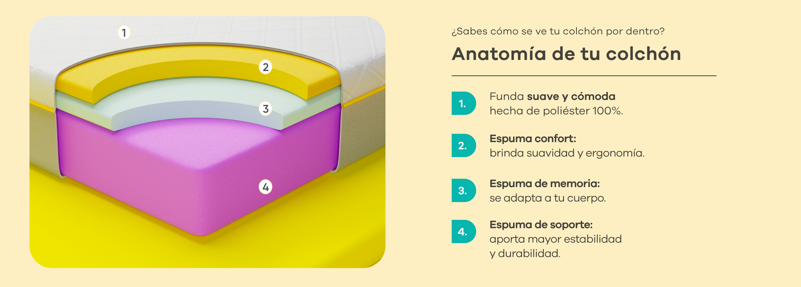 Anatomia Colchon Prime